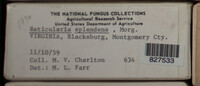 Image Associated With the Occurence
